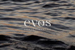 Evos - Luxury Living, Digitally Defined